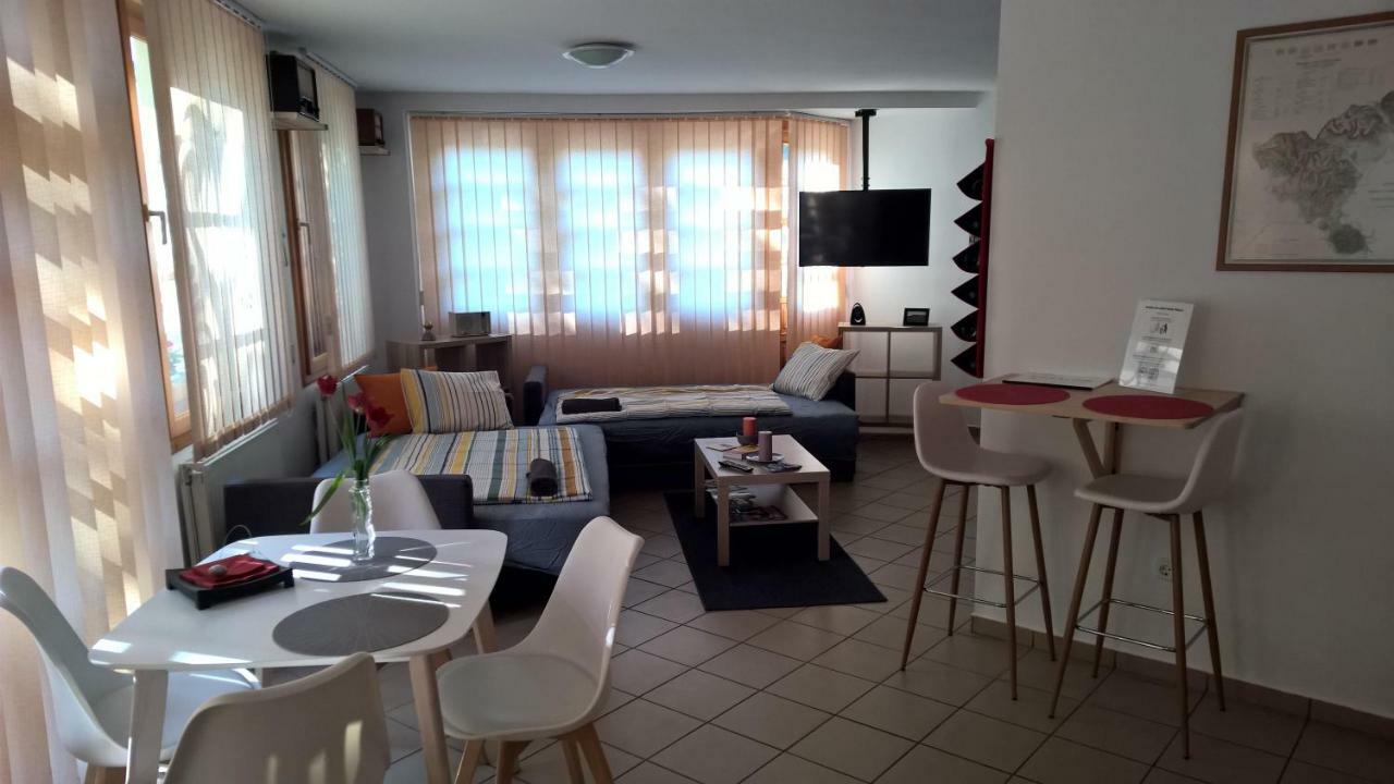 Boralom Studio Apartman トカイ エクステリア 写真
